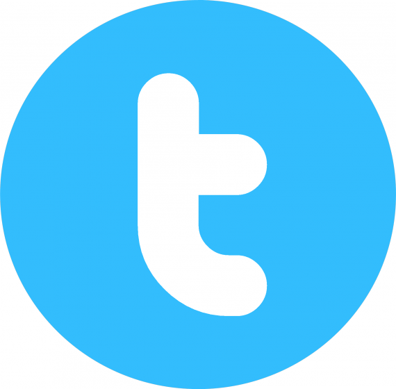 logo Twitter rond 2